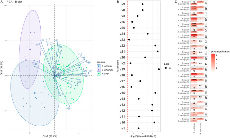Figure 2