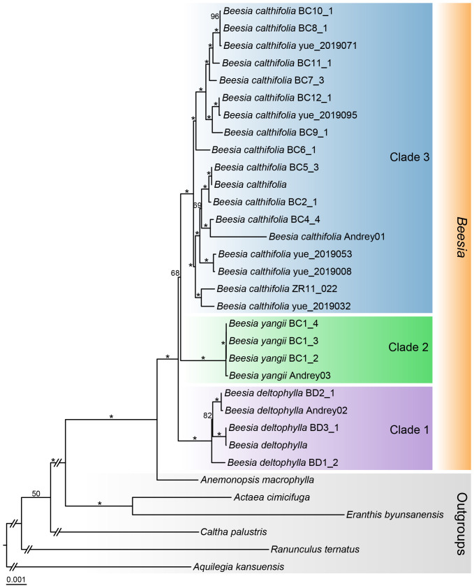 Figure 4