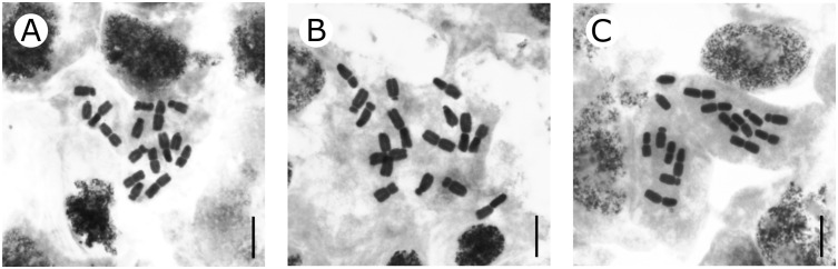 Figure 5