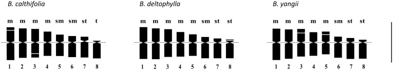 Figure 6