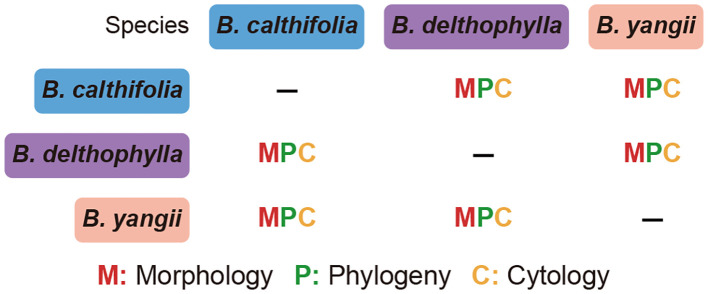 Figure 7