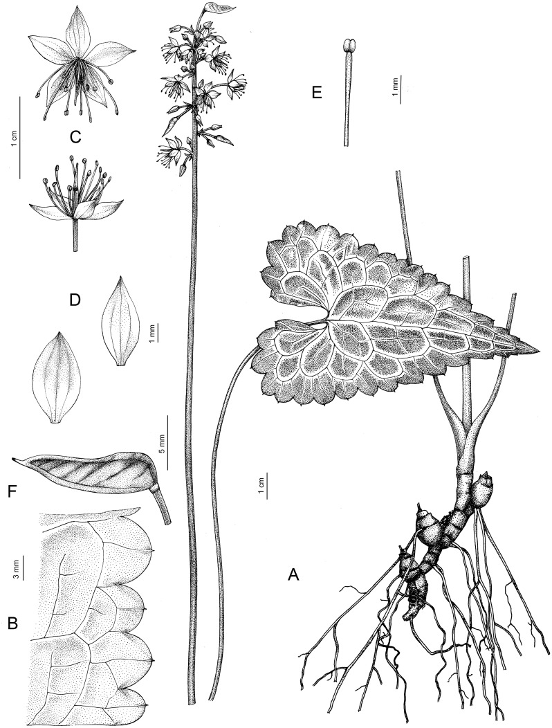 Figure 10
