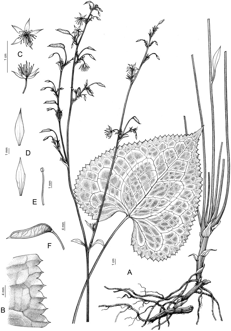 Figure 12