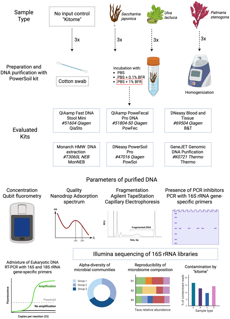 Figure 1