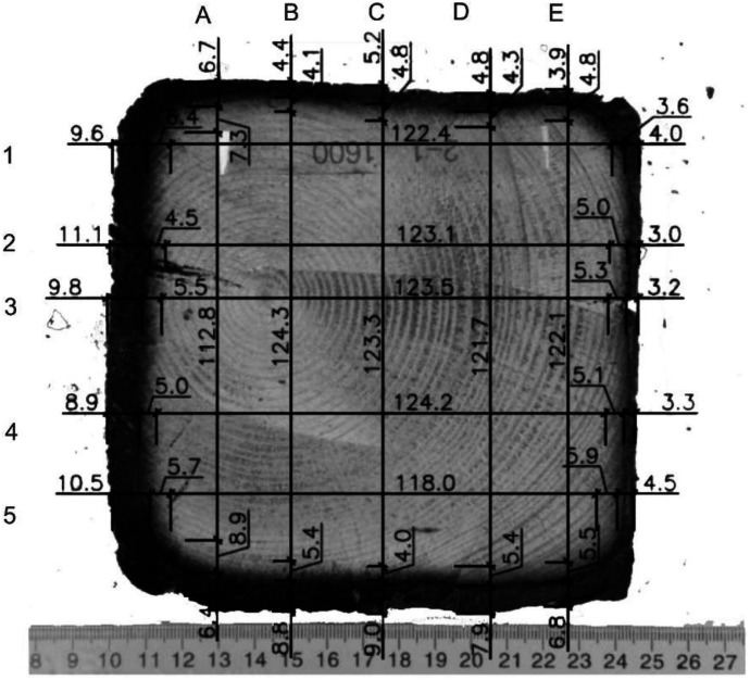 Figure 8