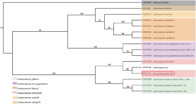 Figure 4