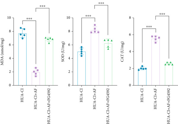 Figure 24