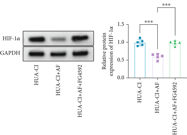 Figure 27