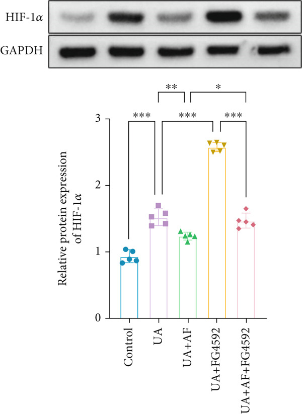 Figure 28