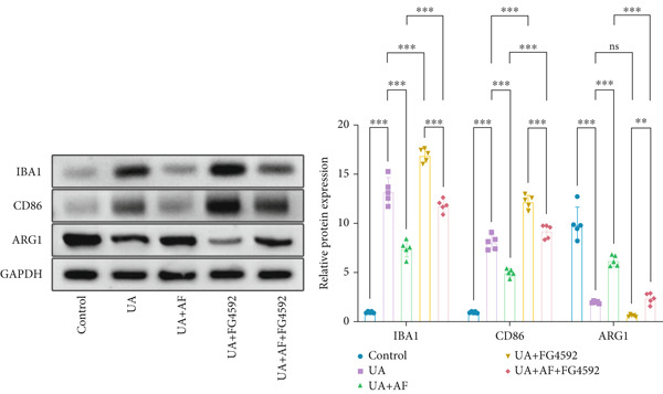 Figure 31