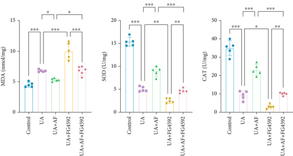 Figure 33