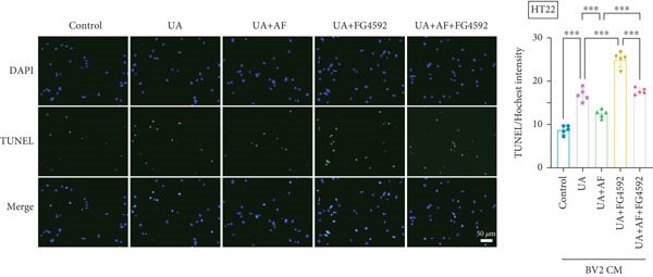 Figure 35