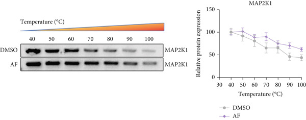Figure 37