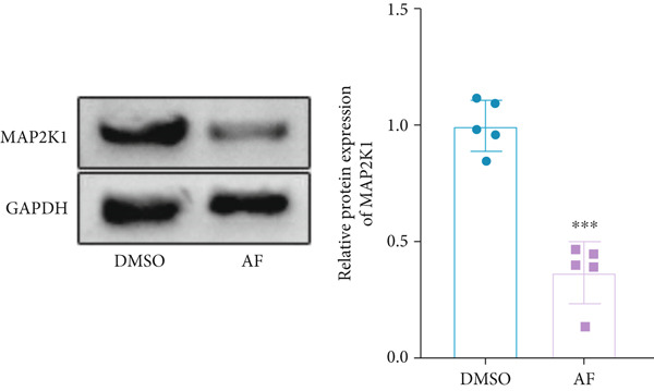 Figure 39