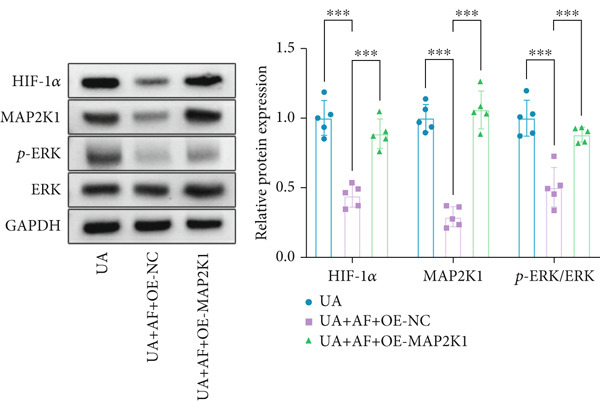 Figure 40