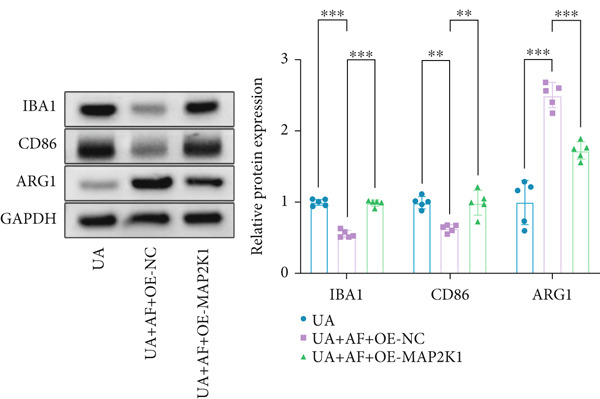 Figure 42