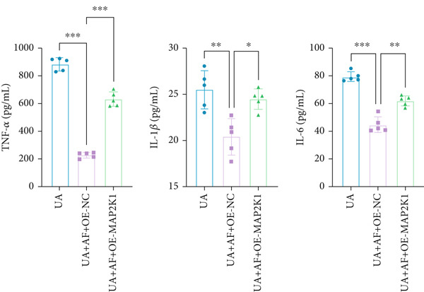 Figure 43