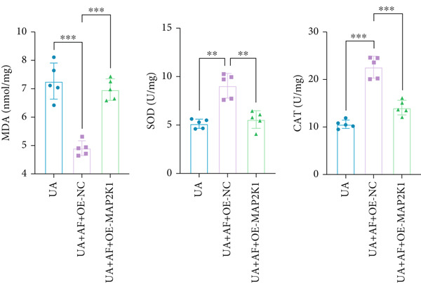 Figure 44