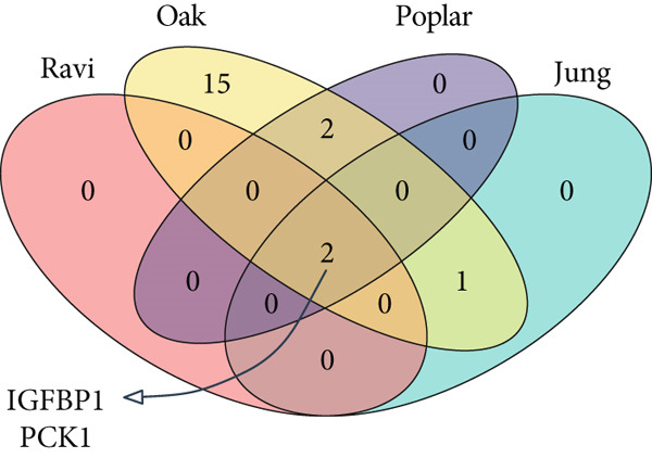 Figure 13