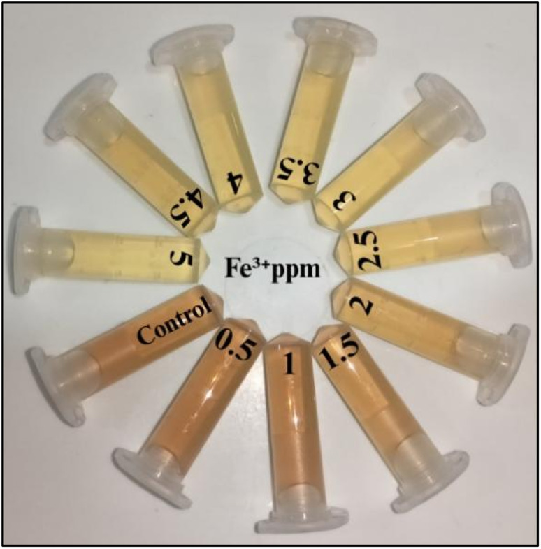 Figure 11
