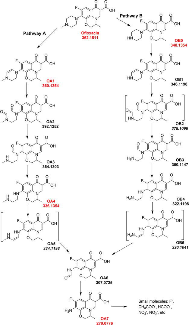 Figure 13