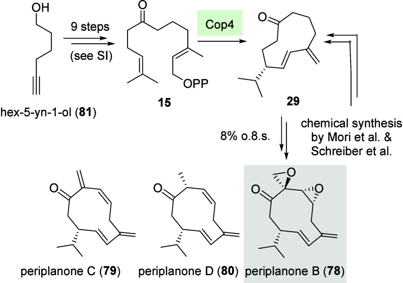 Figure 13