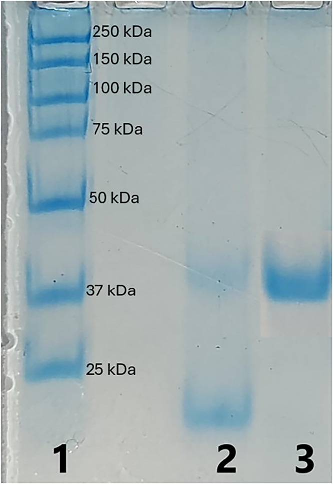 Figure 8