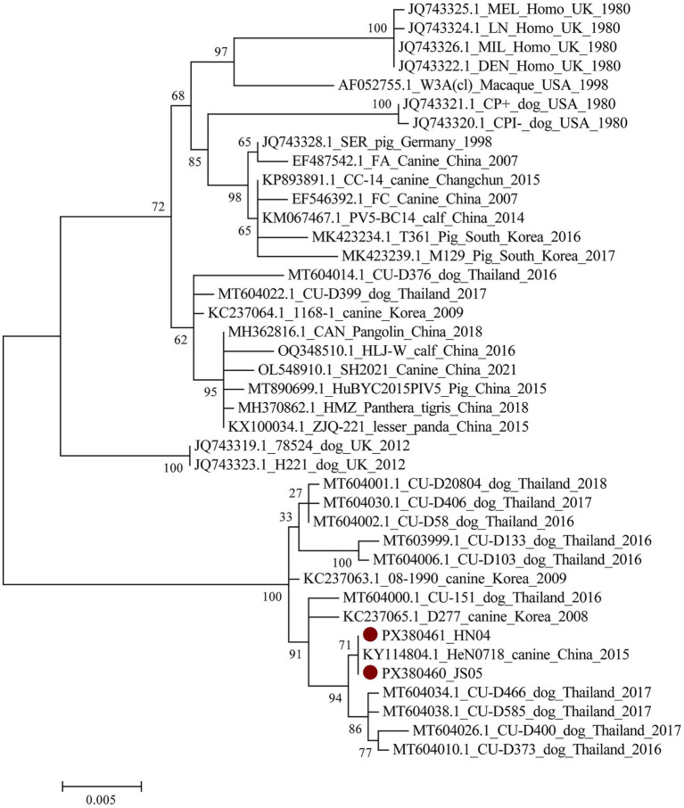 Figure 6