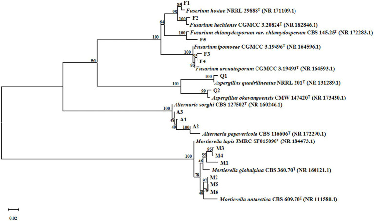 Figure 2