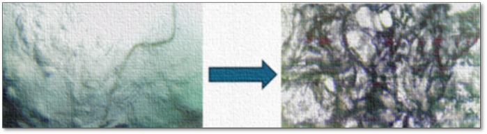Figure 8