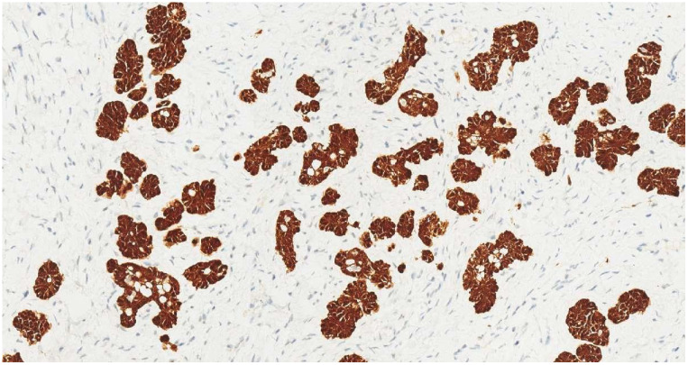 Figure 5