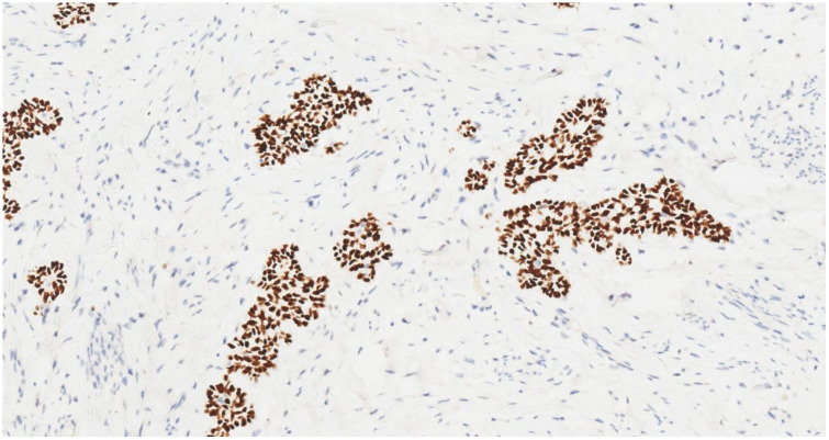Figure 6