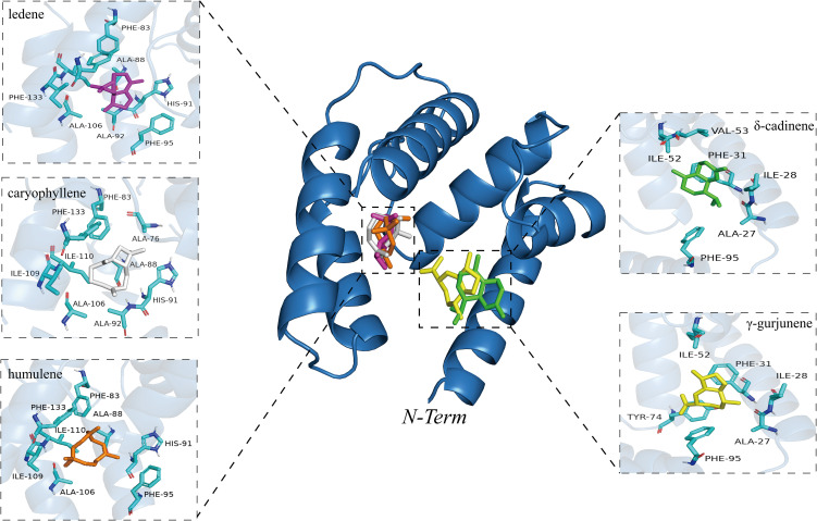 Figure 4