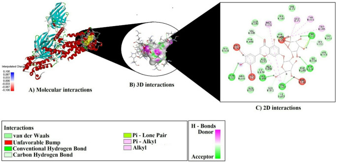 Figure 20