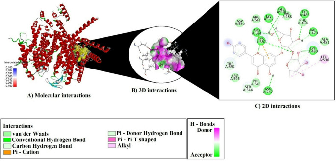 Figure 21