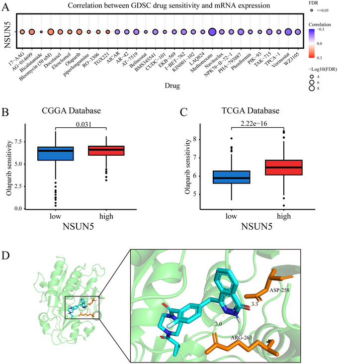 FIGURE 6