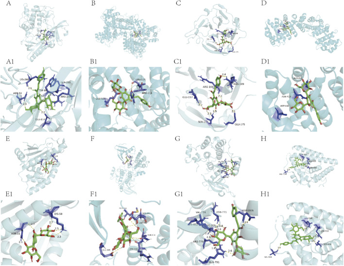 FIGURE 4