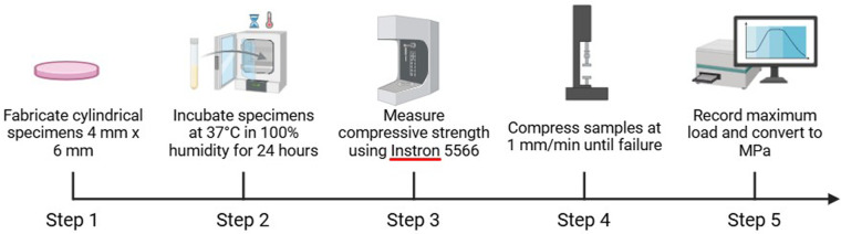 Figure 4