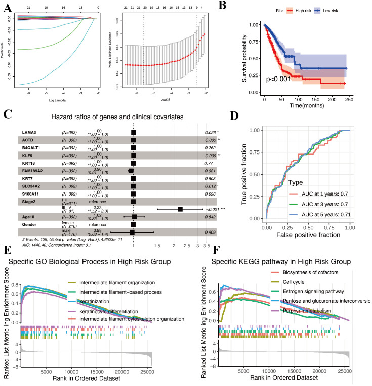 Figure 6