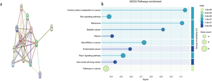 FIGURE 4
