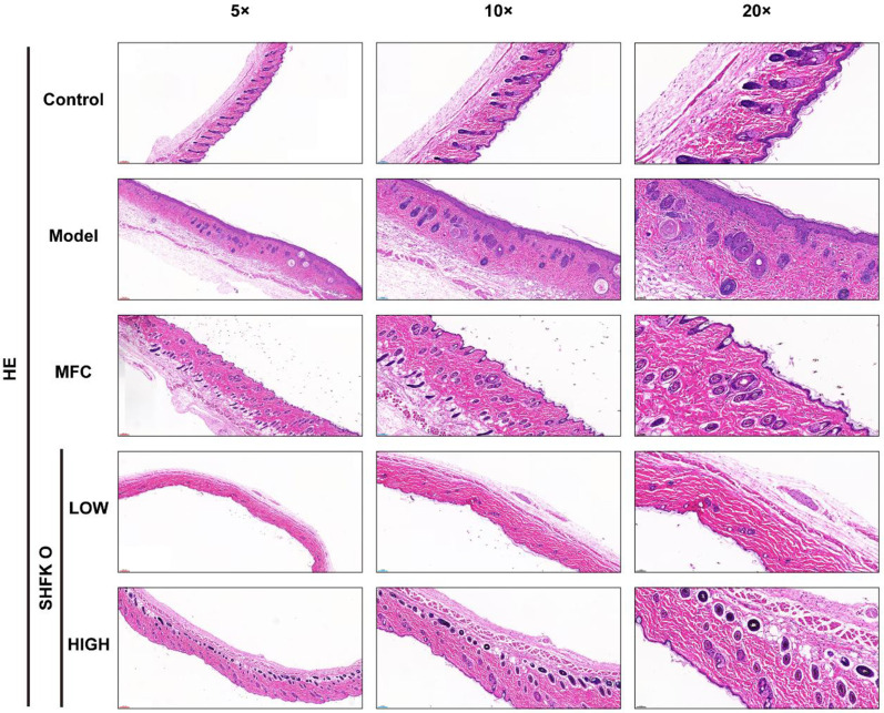 FIGURE 6