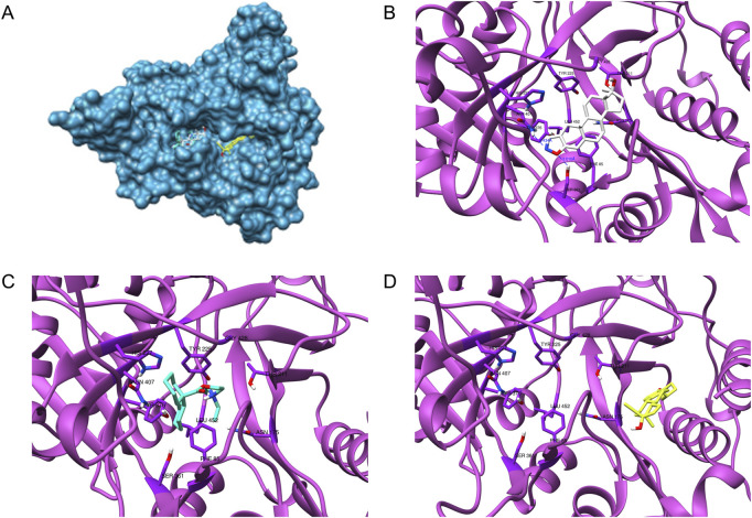 FIGURE 7