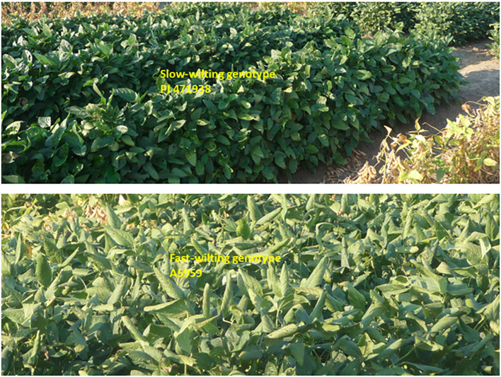 Figure 9