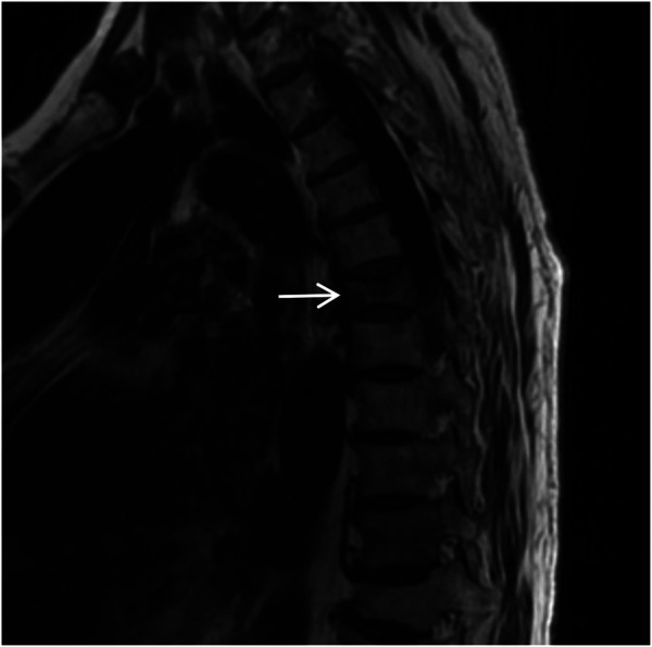 Figure 15