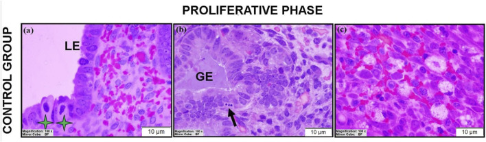 FIGURE 2