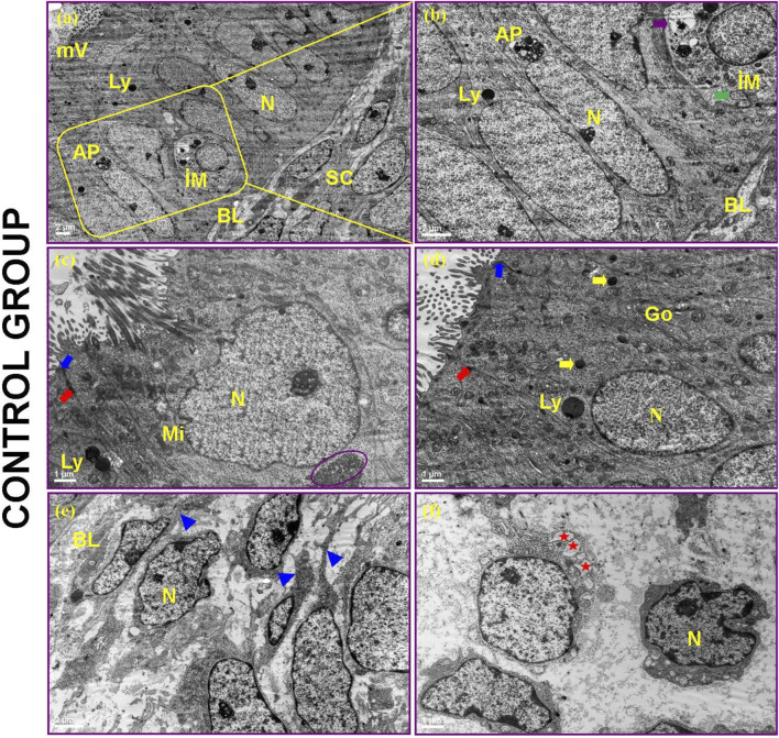 FIGURE 14