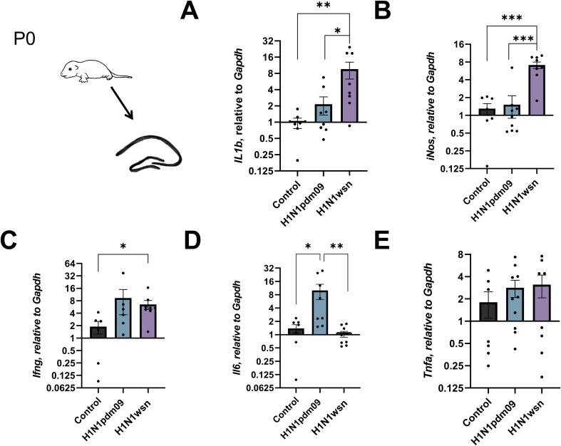 Figure 2