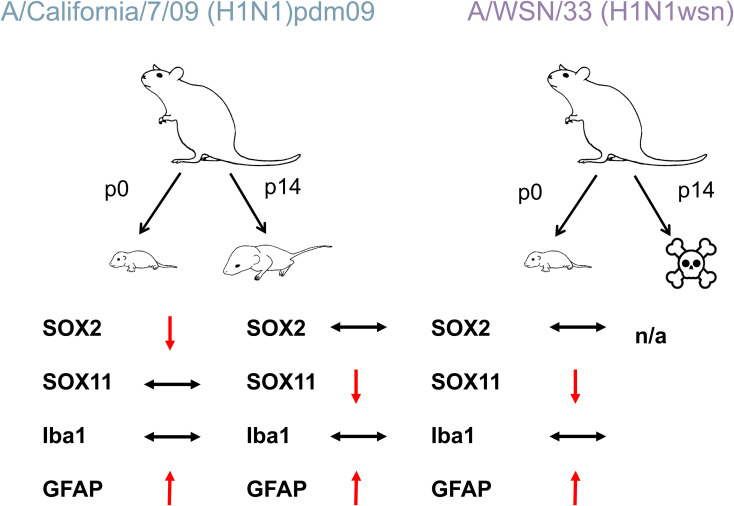 Figure 7