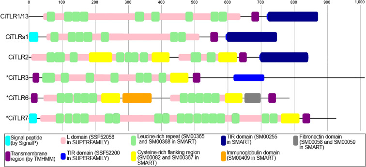 Figure 4