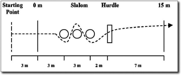 Figure 1